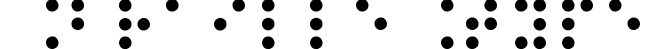 Braille Type