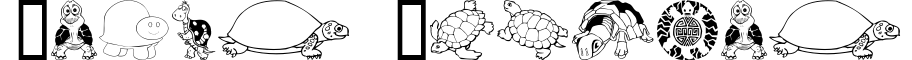 Keya's Turtles
