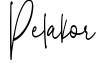 Pelakor