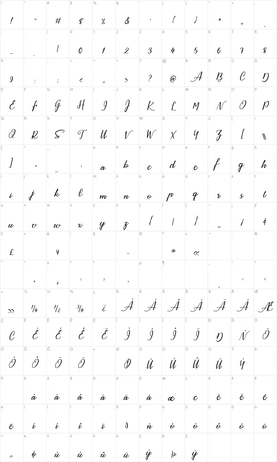 Ayrton Pightfont character map
