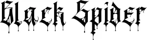 Black Spider