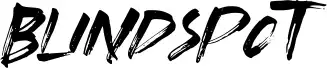 Blindspot