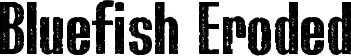 Bluefish Eroded