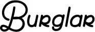 Burglar