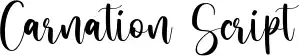 Carnation Script