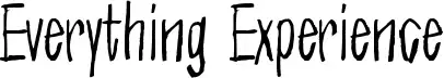 Everything Experience