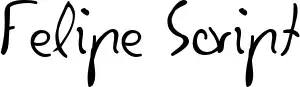Felipe Script