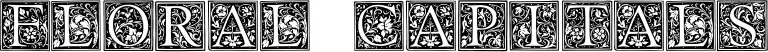 Floral Capitals