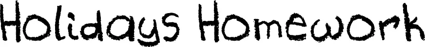Holidays Homework