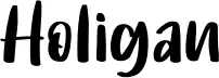 Holigan