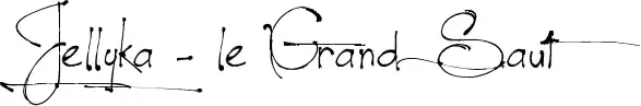 Jellyka - le Grand Saut