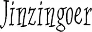 Jinzingoer