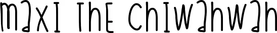 Maxi The Chiwahwah