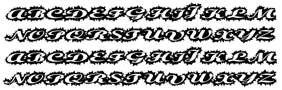 Steller Scriptfont specimens