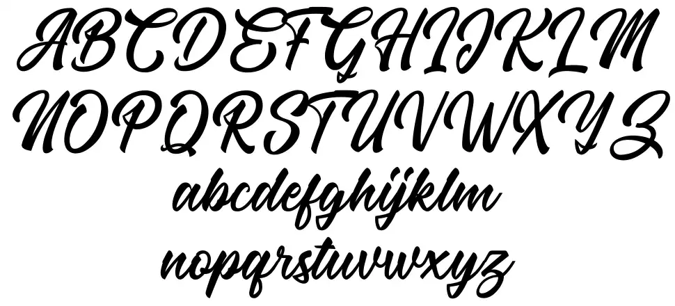 The Micranderfont specimens