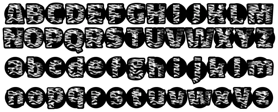 Tiger Bawlfont specimens