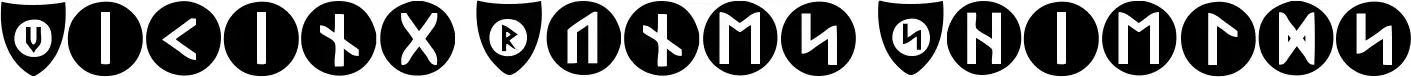 Viking Runes Shields