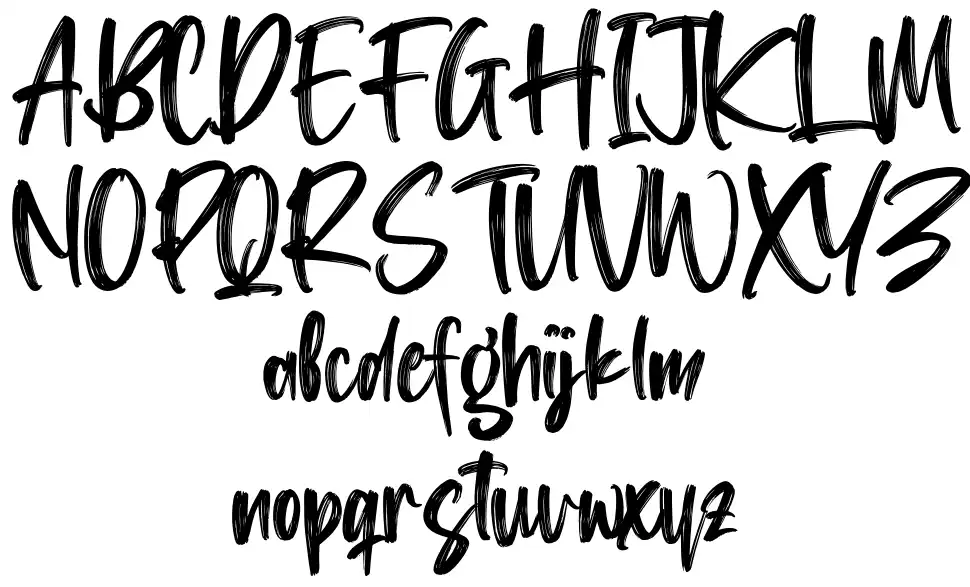 Washington Lifestylefont specimens