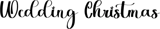 Wedding Christmas
