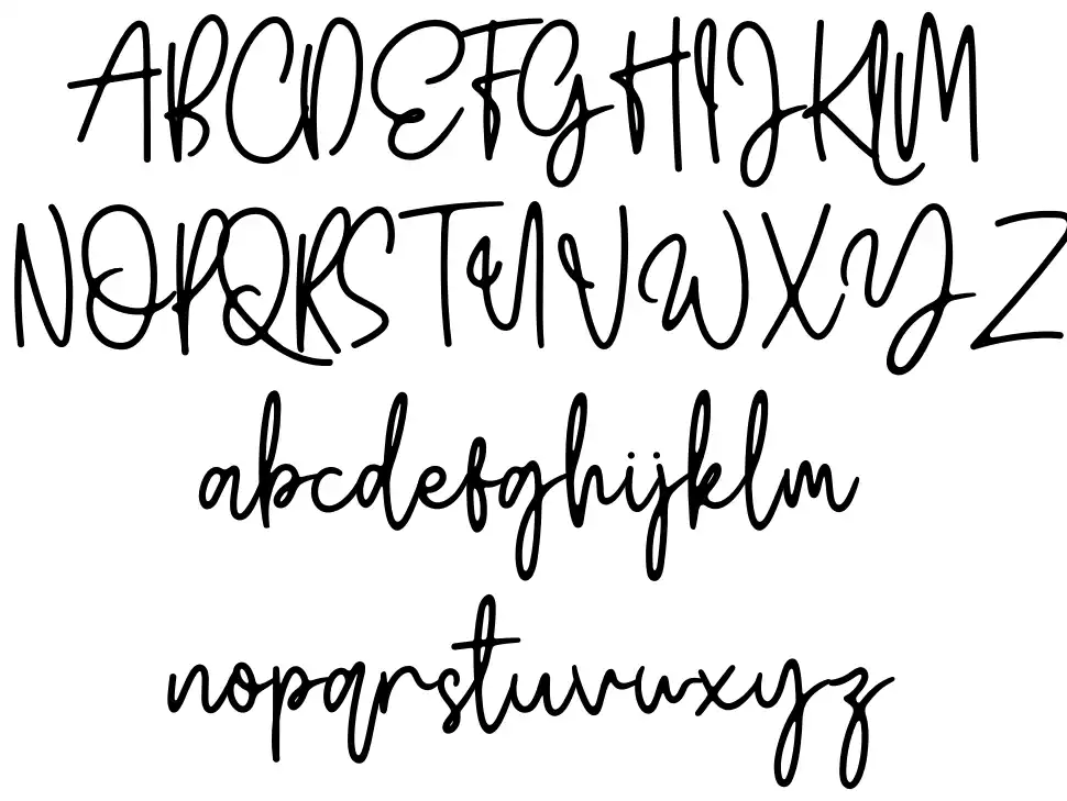 Wildy Signfont specimens